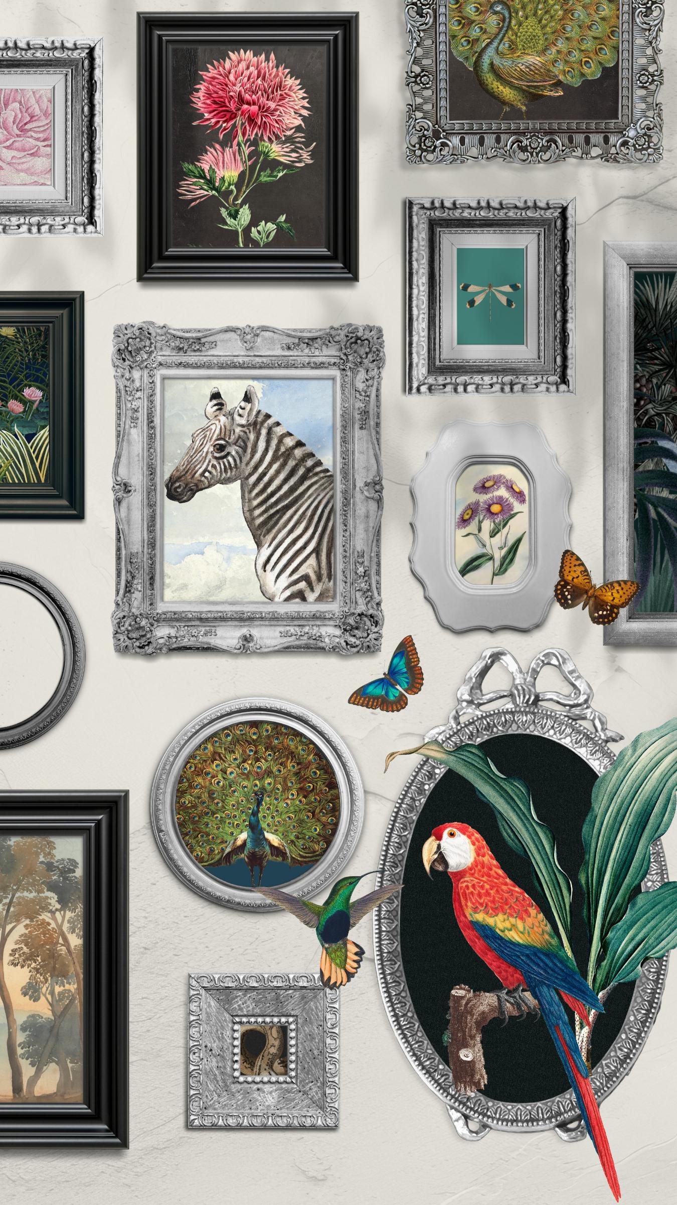 Gallery of Wonders