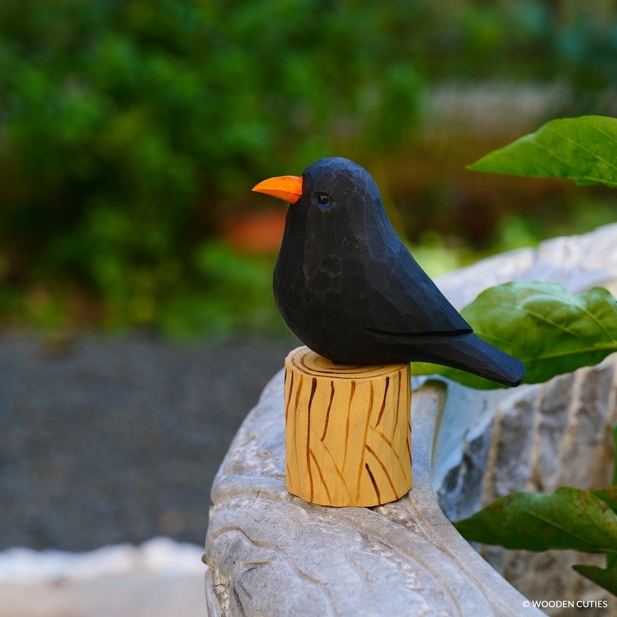 Blackbird