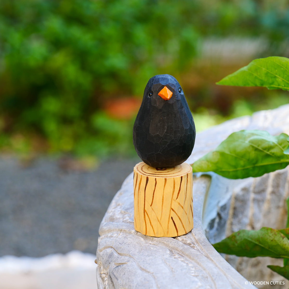 Blackbird