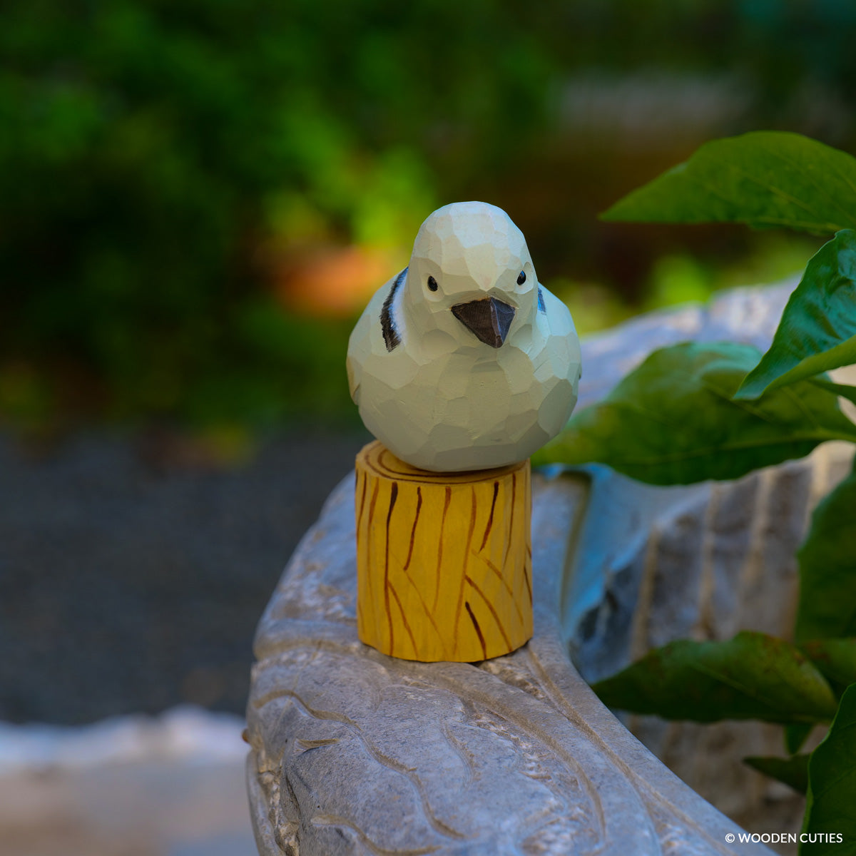 Dove