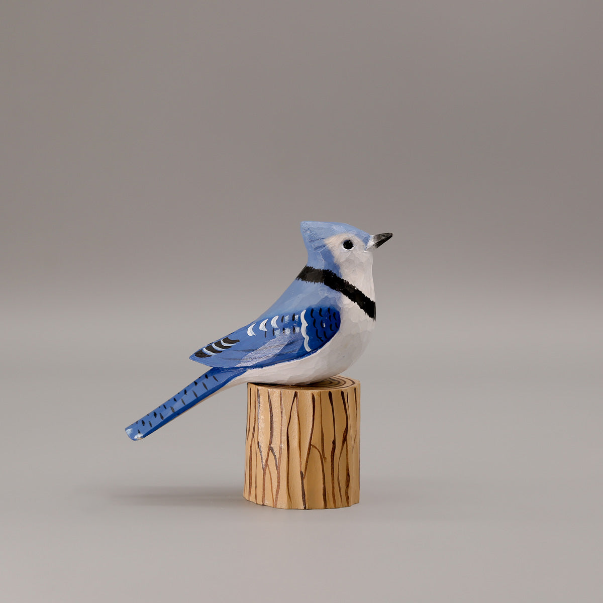 Blauwe Gaai + Stand