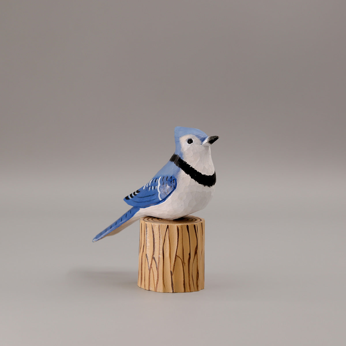 Blauwe Gaai + Stand