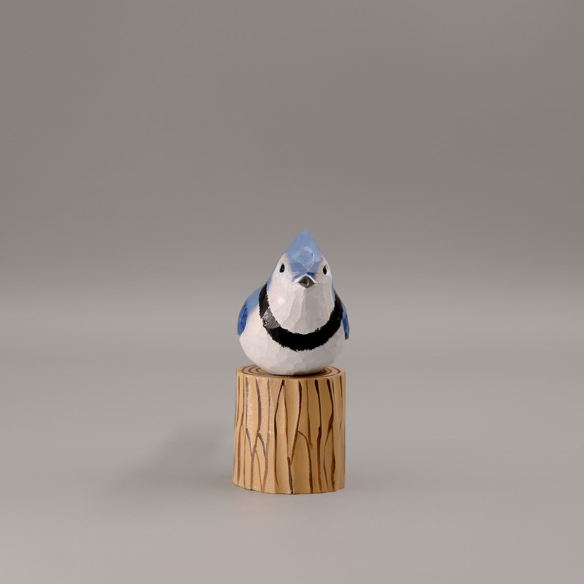 Blauwe Gaai + Stand