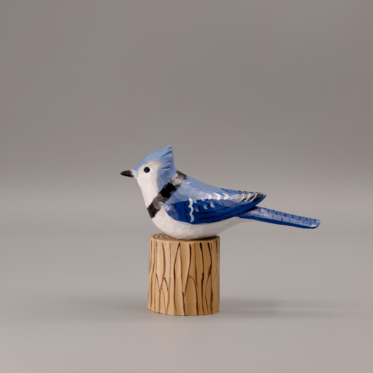 Blauwe Gaai + Stand