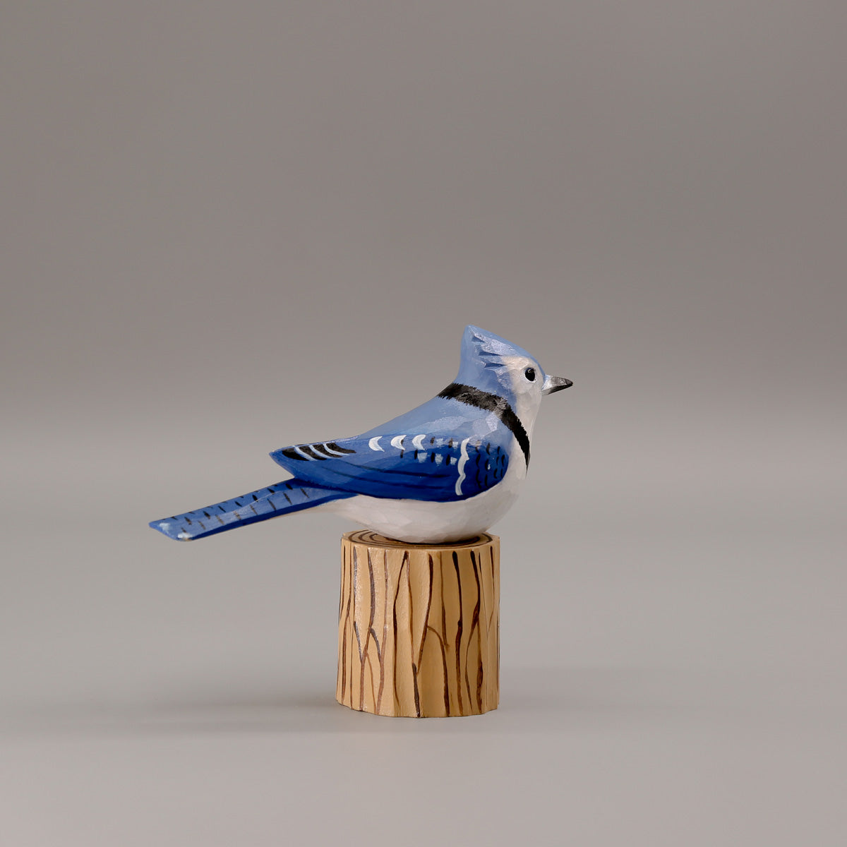 Blauwe Gaai + Stand