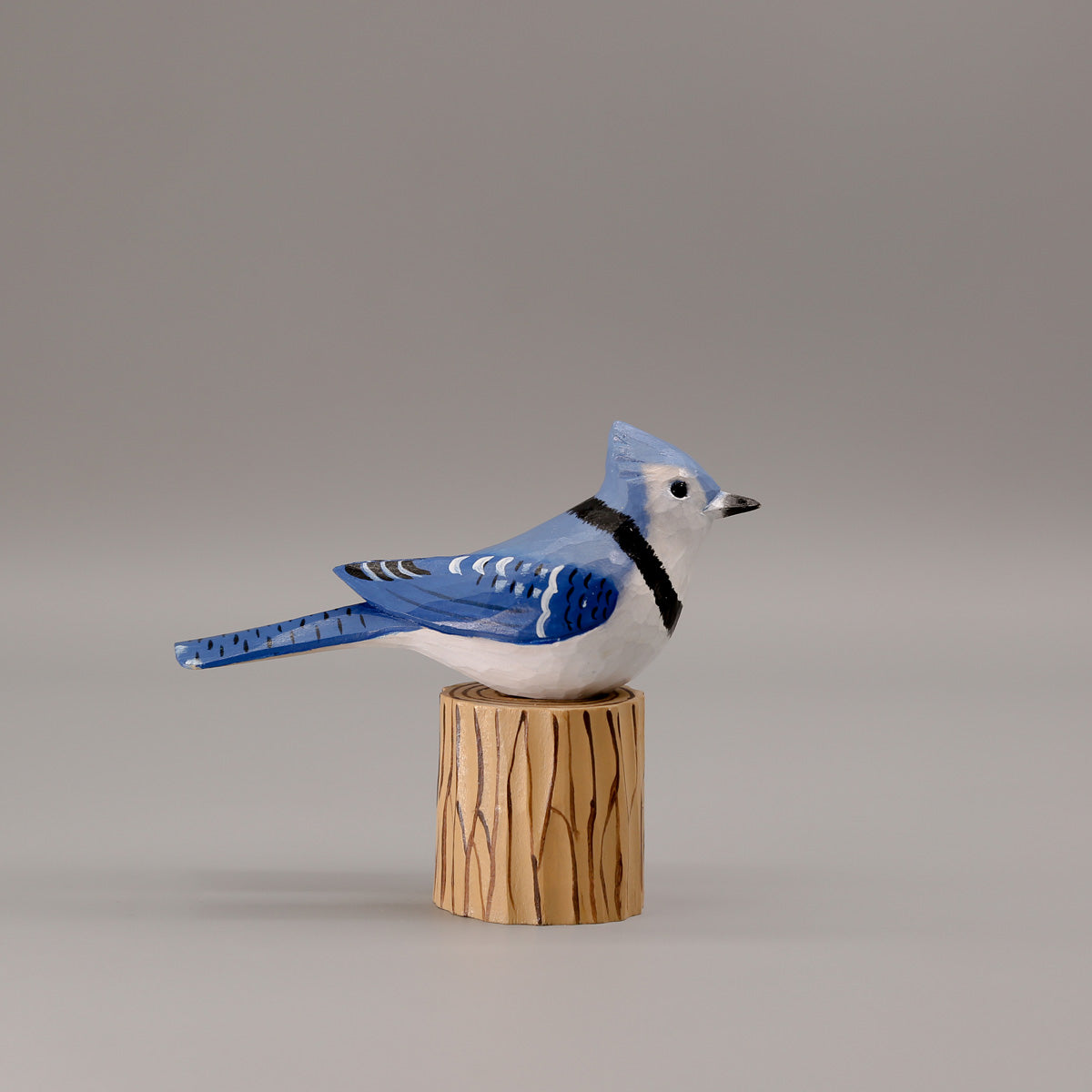 Blauwe Gaai + Stand