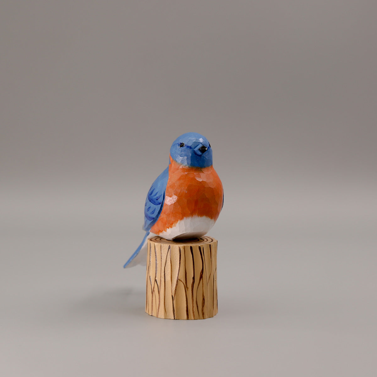 Oostelijke Blauwe Vogel + Stand