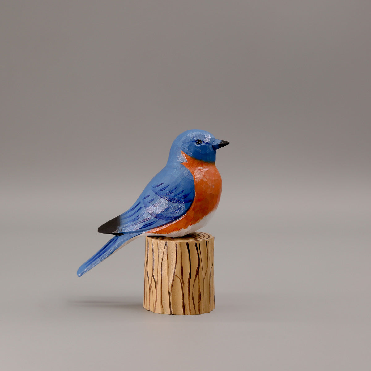 Oostelijke Blauwe Vogel + Stand