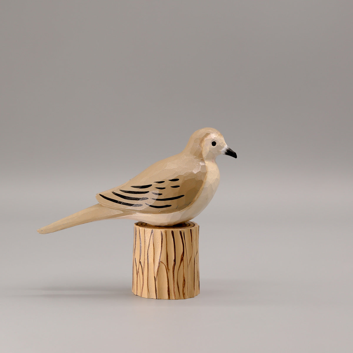 Mourning Dove