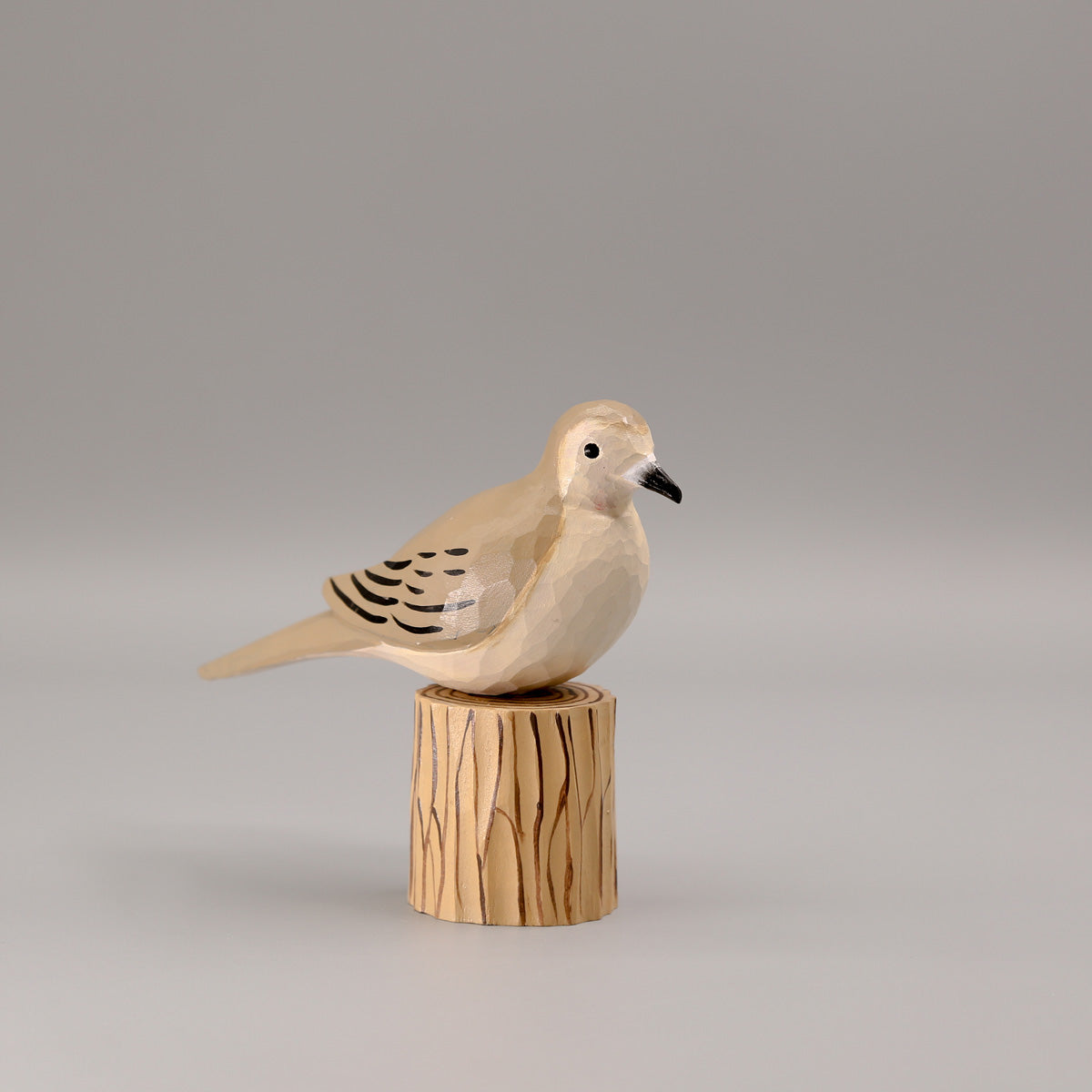 Mourning Dove