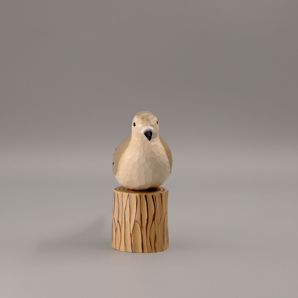 Mourning Dove