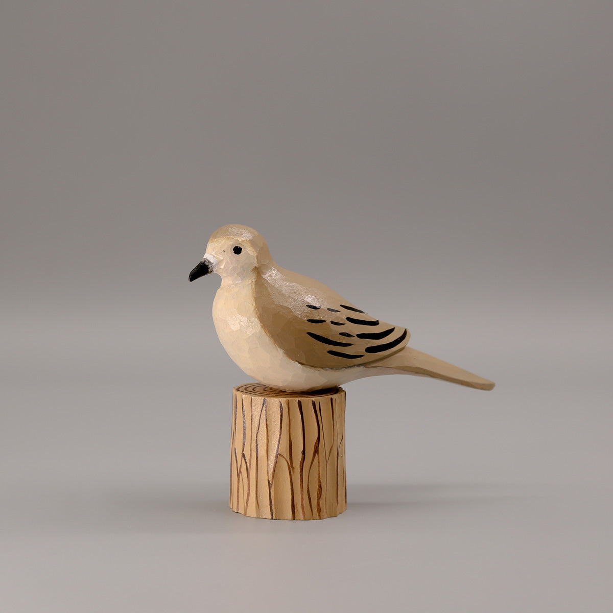 Mourning Dove