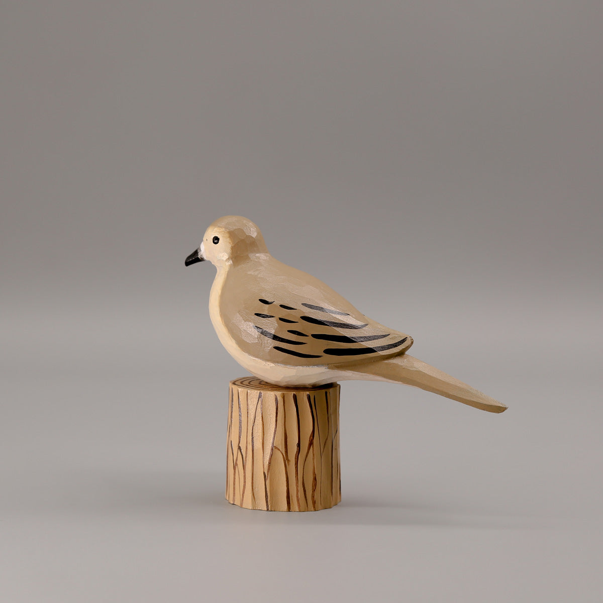 Mourning Dove