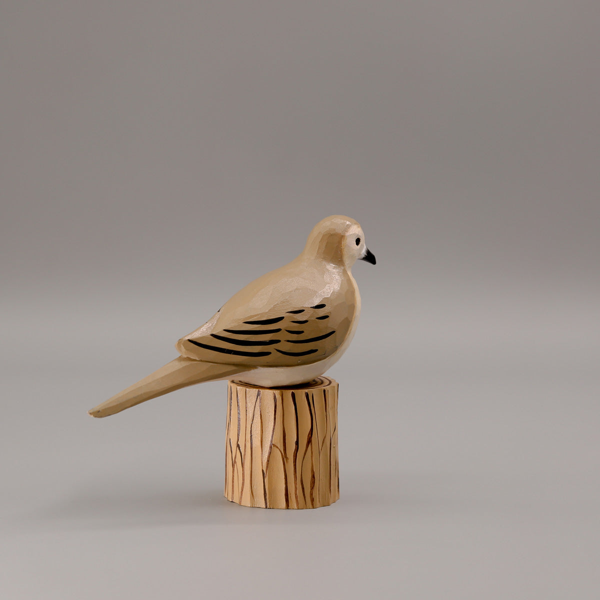 Mourning Dove