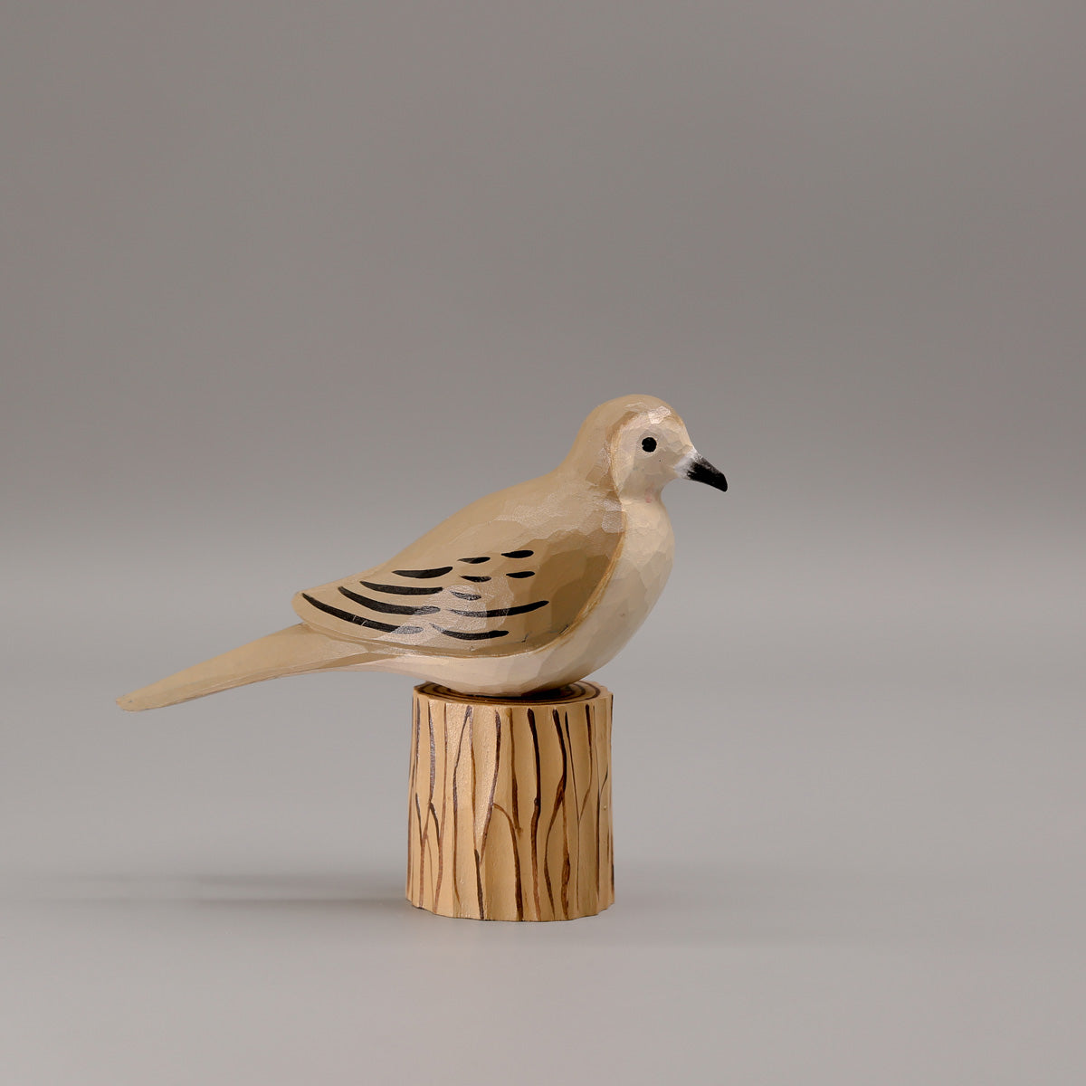 Mourning Dove