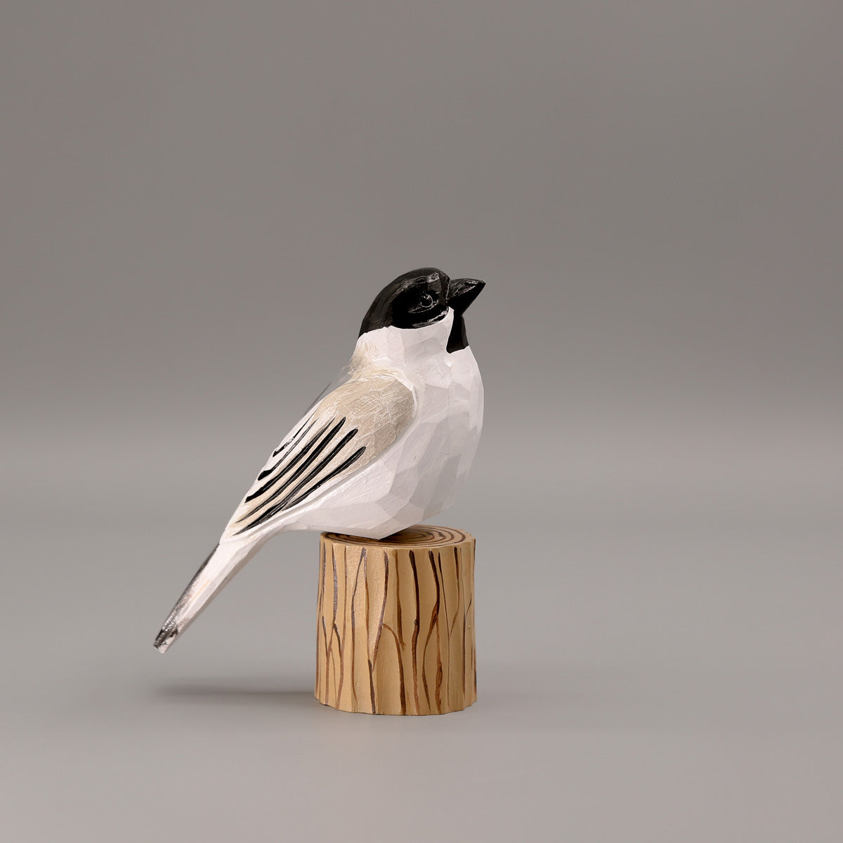 Black-Capped Chickadee