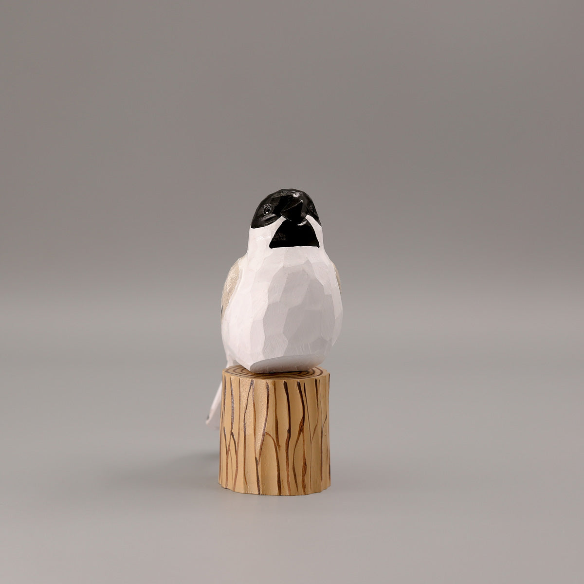 Black-Capped Chickadee