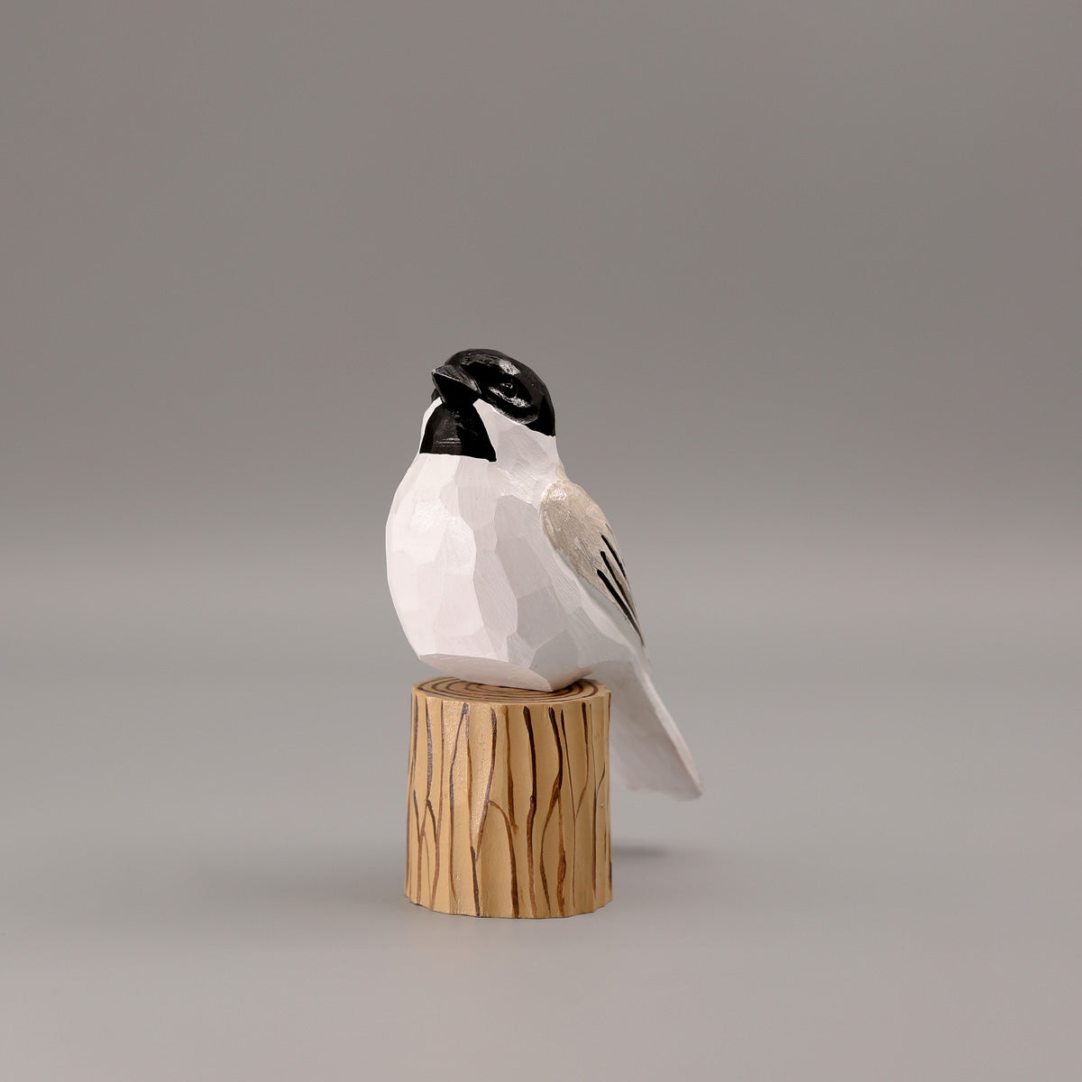 Black-Capped Chickadee