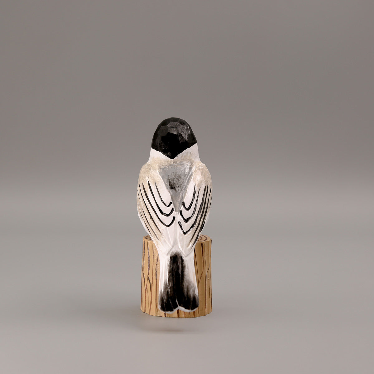 Black-Capped Chickadee
