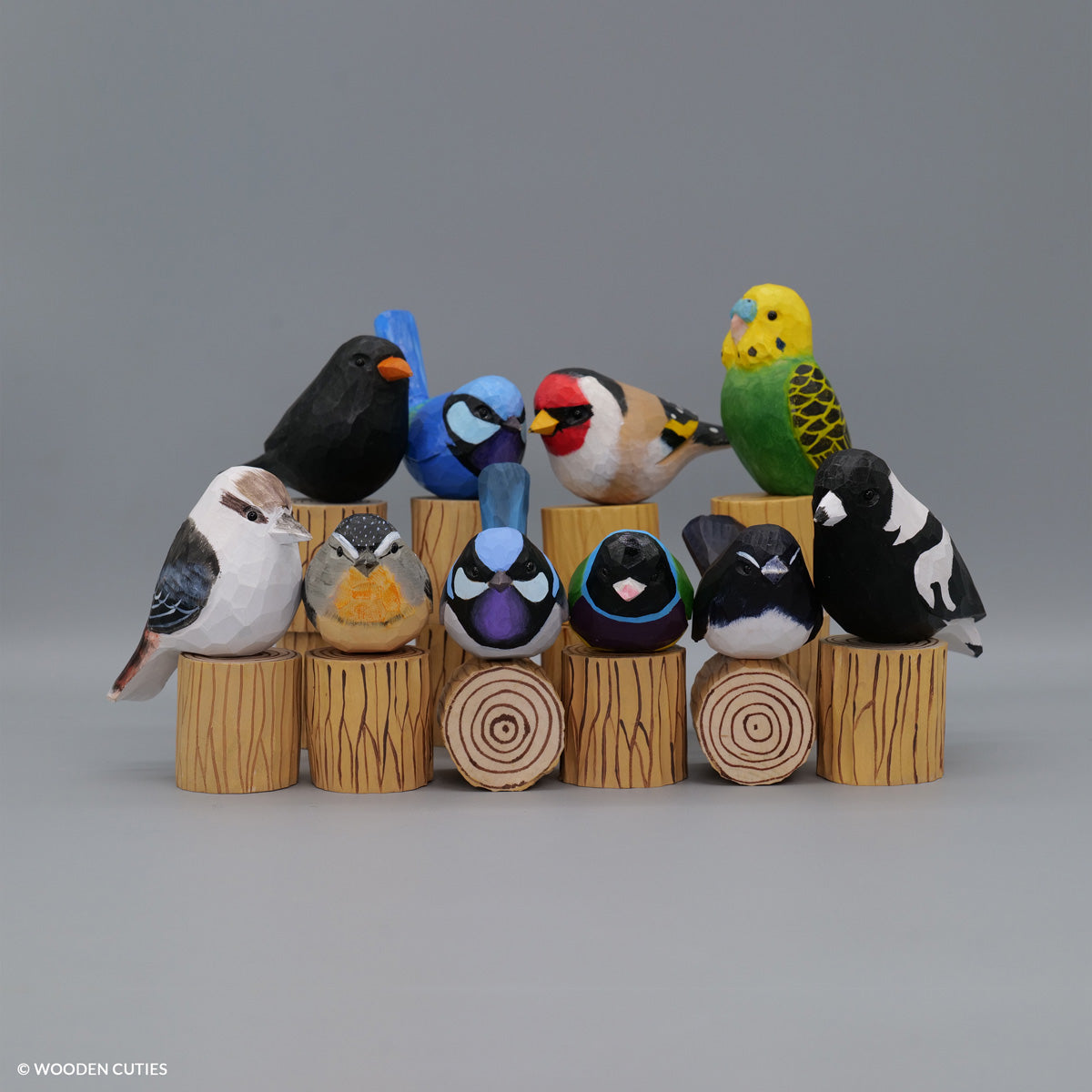 Set van 10 Vogels + 10 Standaarden