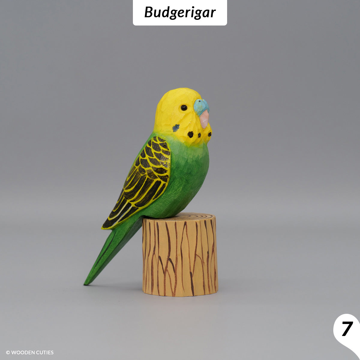 Set van 10 Vogels + 10 Standaarden