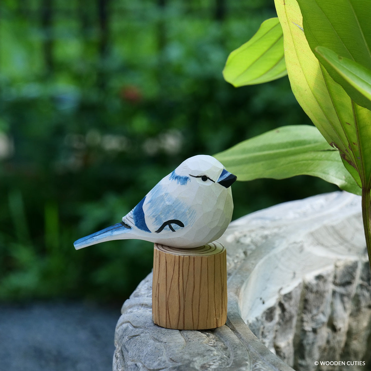 White Blue Jay