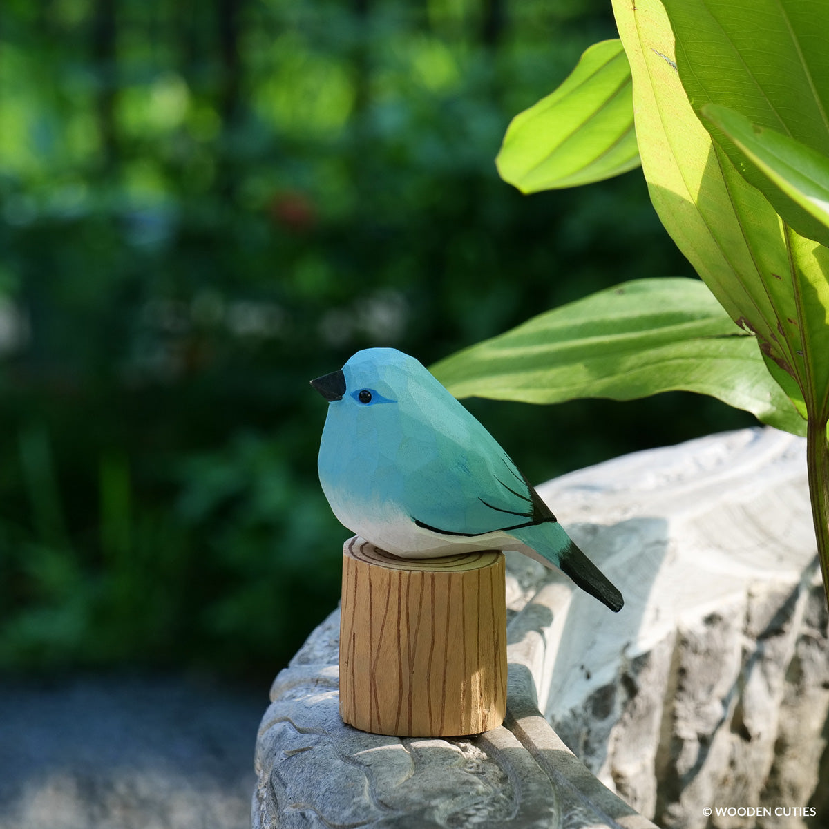 Bergblauwe Vogel + Stand