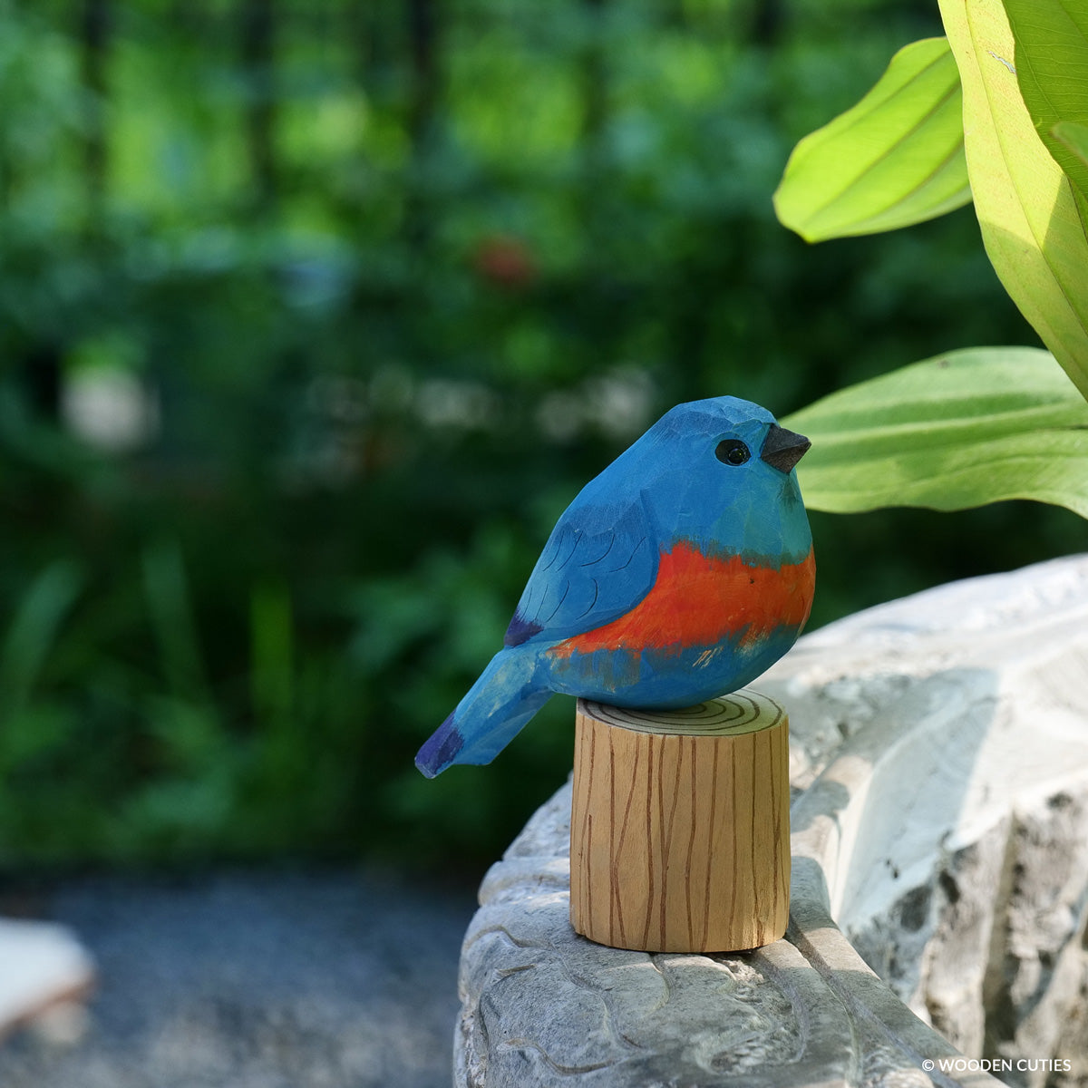 Eastern Bluebird
