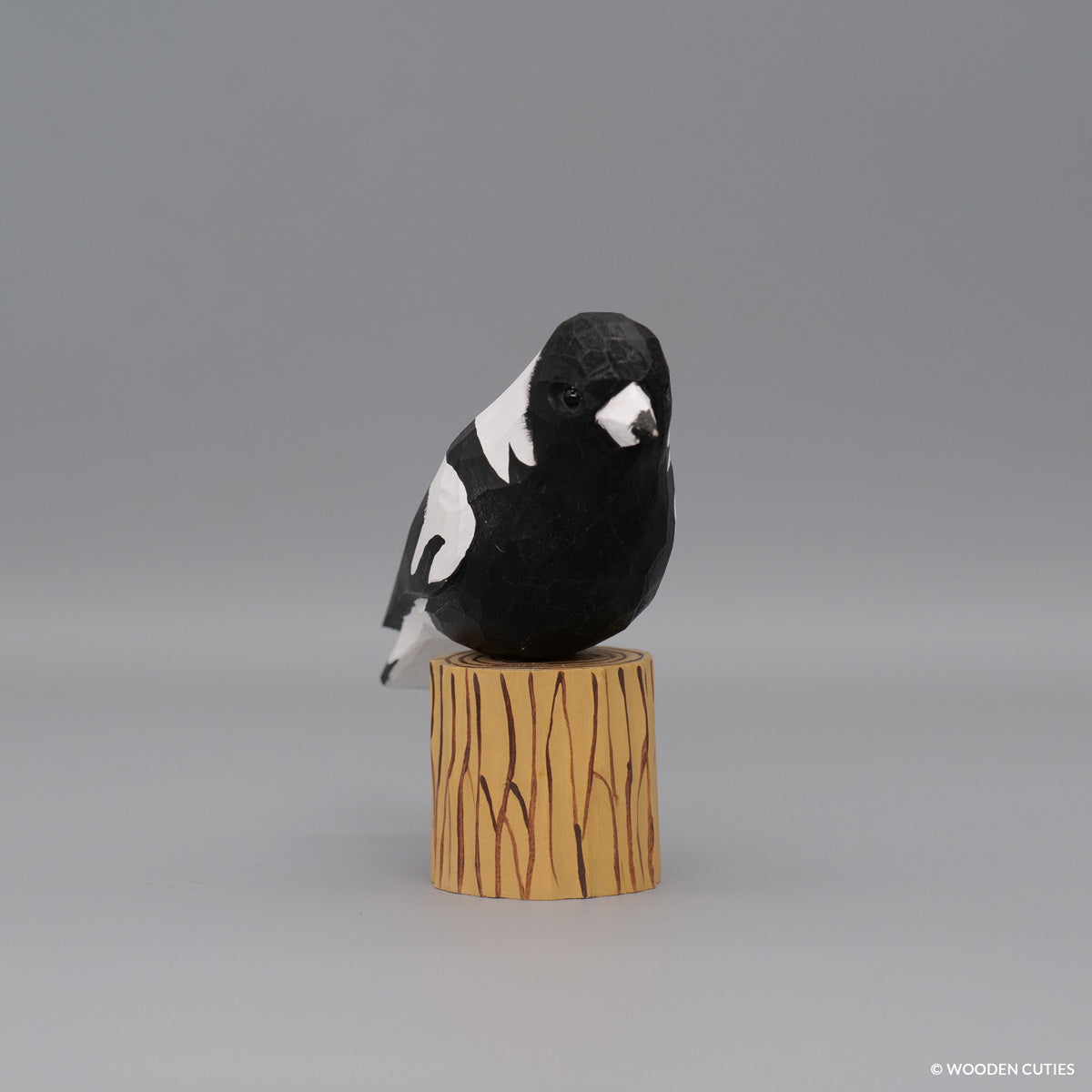 Australische Magpie #10 + Stand