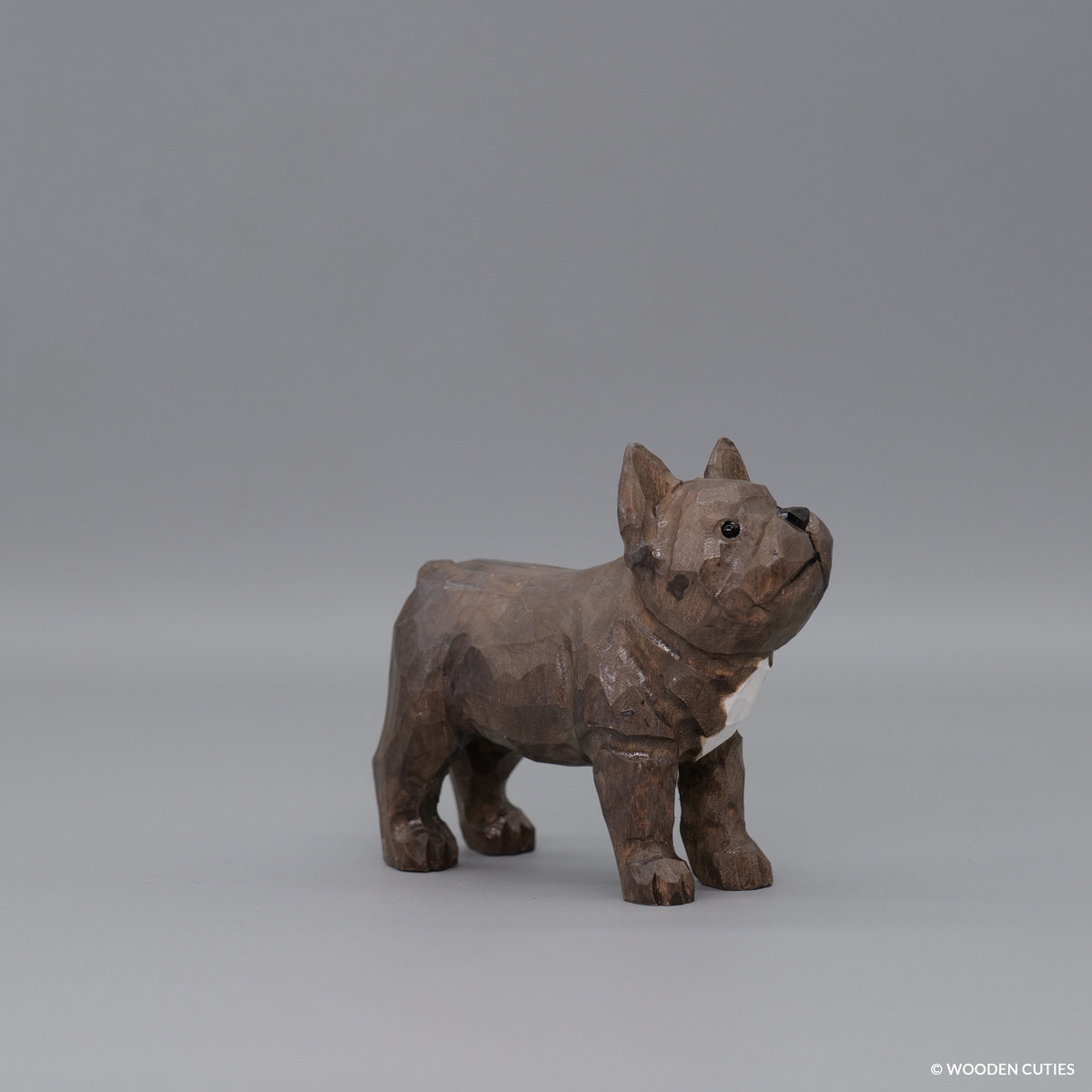 Franse Bulldog