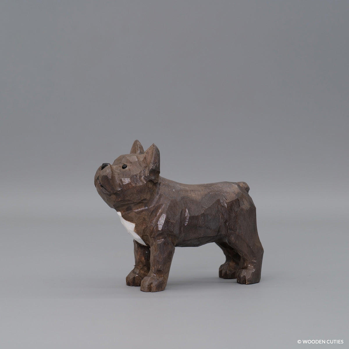 Franse Bulldog