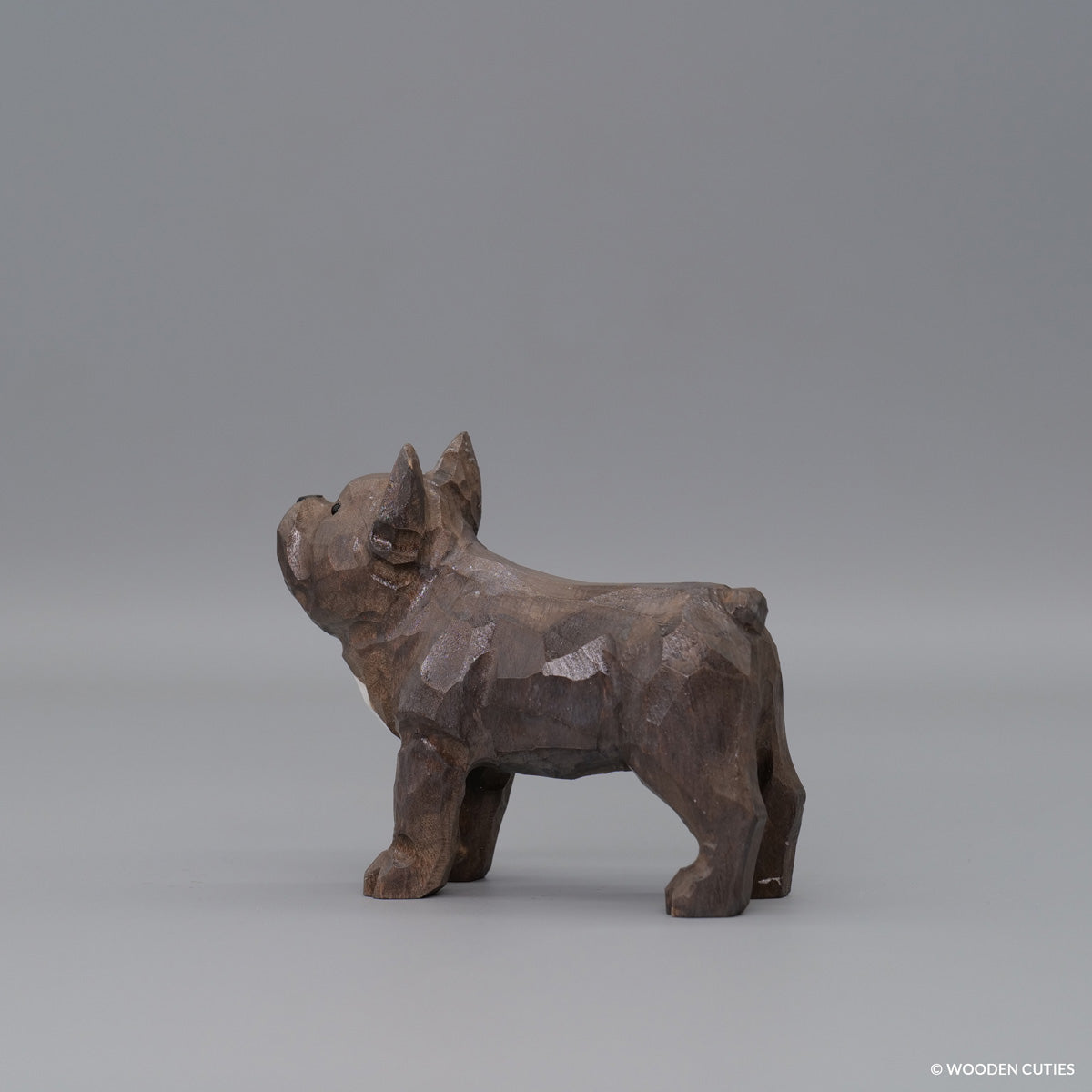 Franse Bulldog