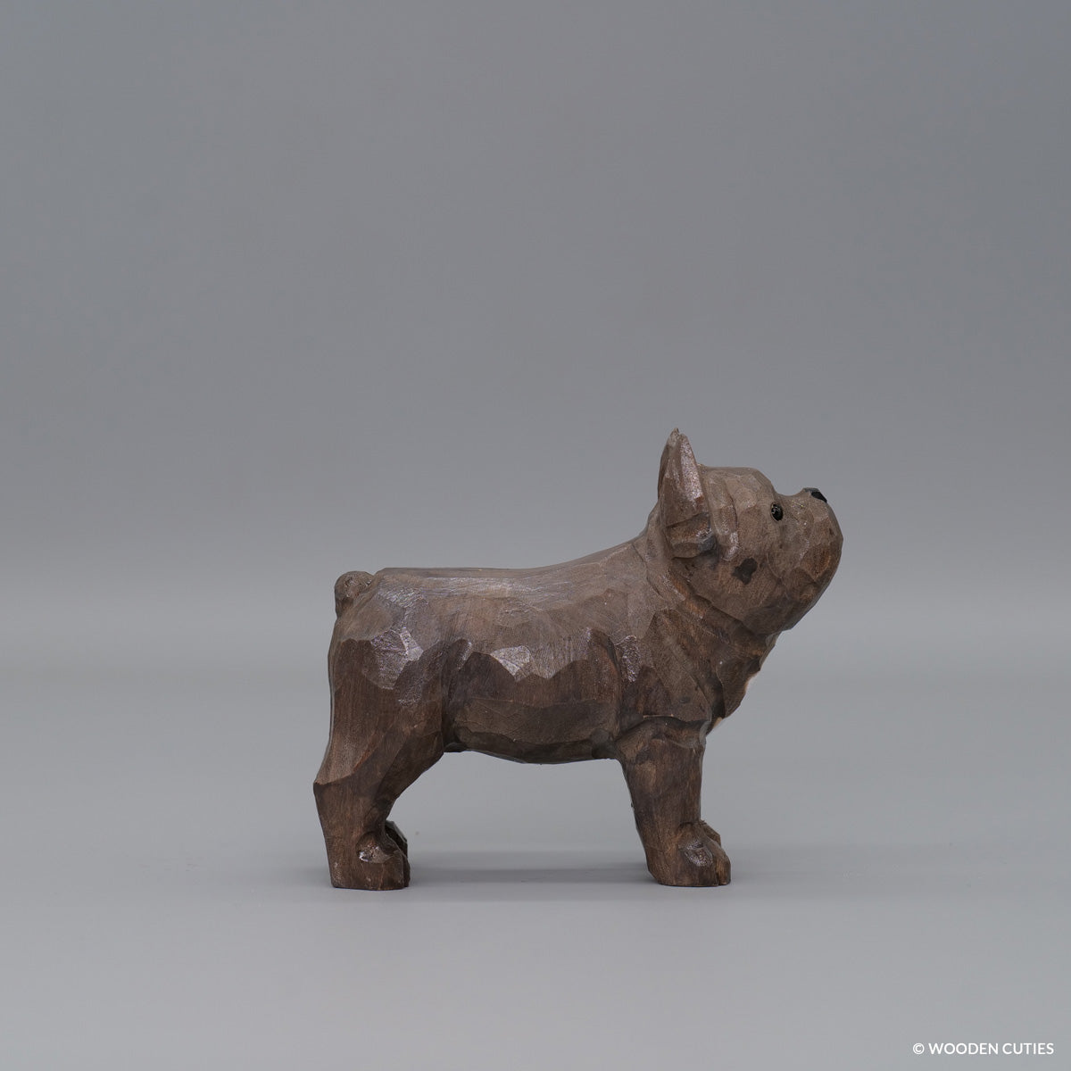 Franse Bulldog