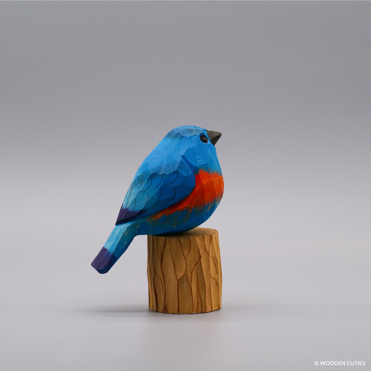 Eastern Bluebird