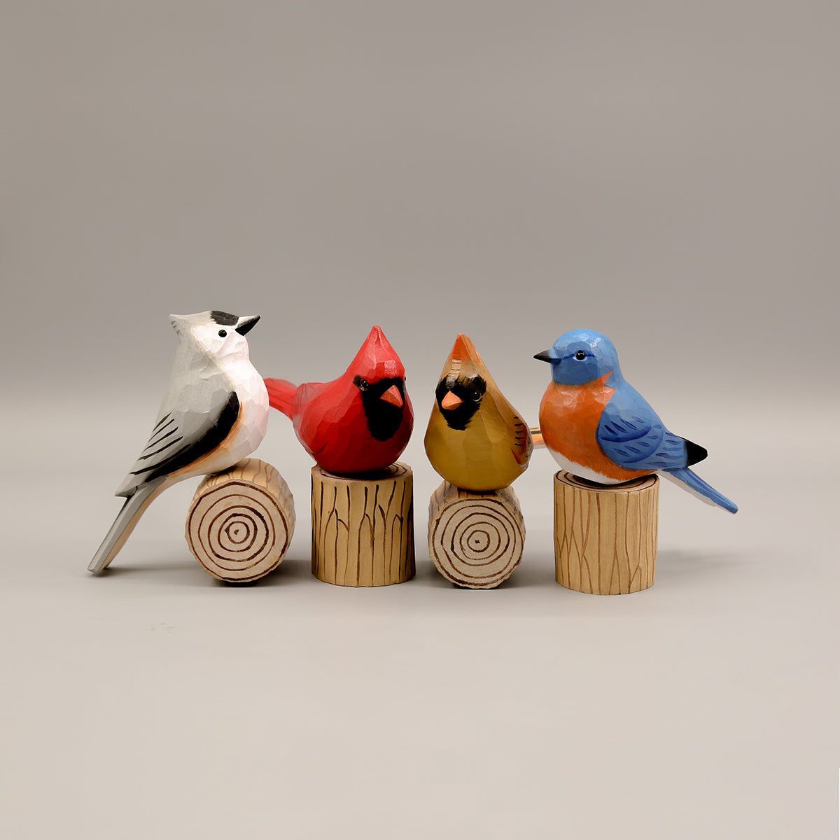 Set van 4 Vogels + 4 Standaards