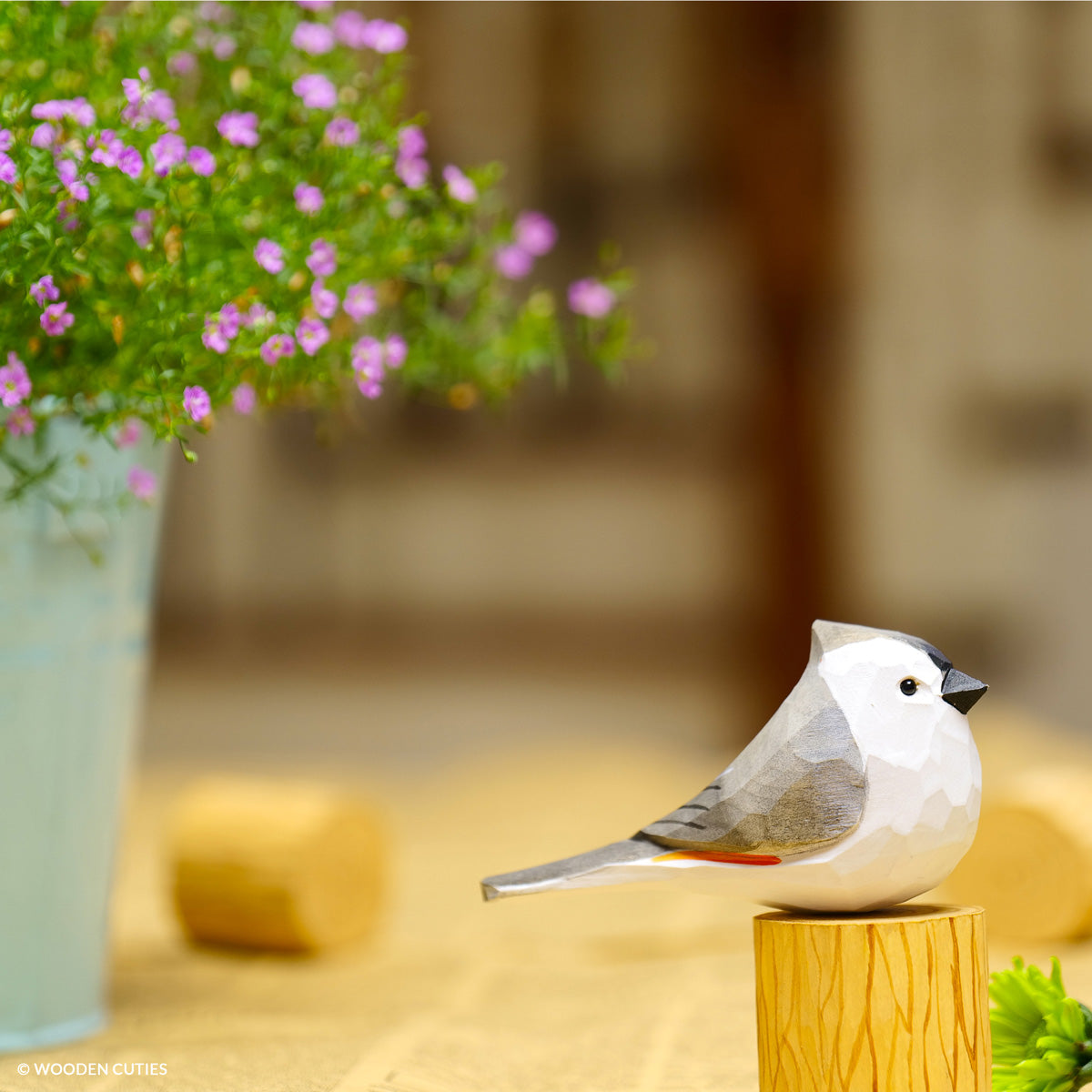 Tufted Titmouse