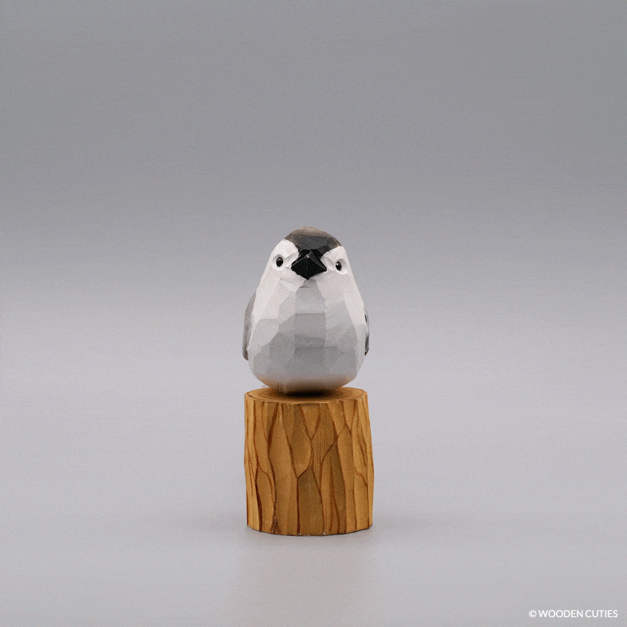 Tufted Titmouse