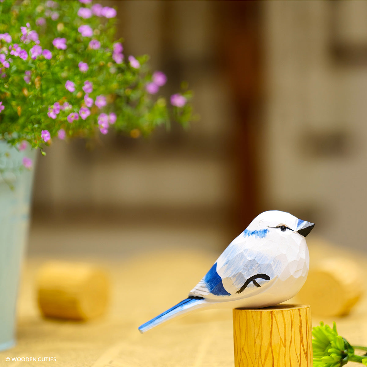 White Blue Jay