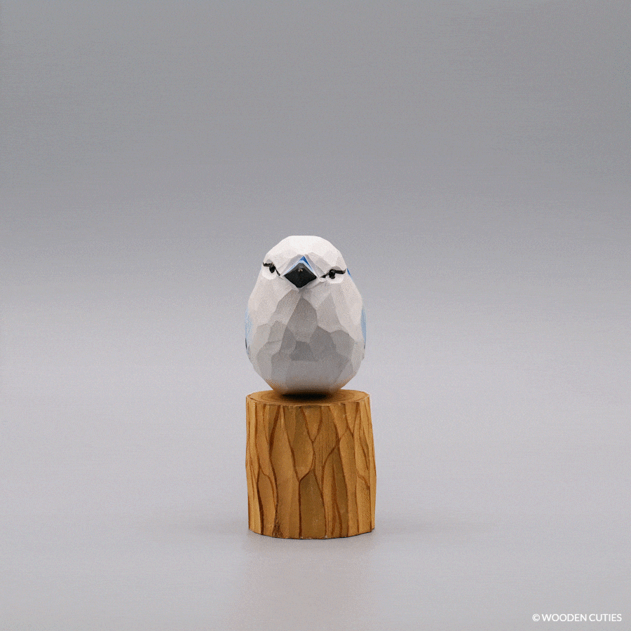 White Blue Jay