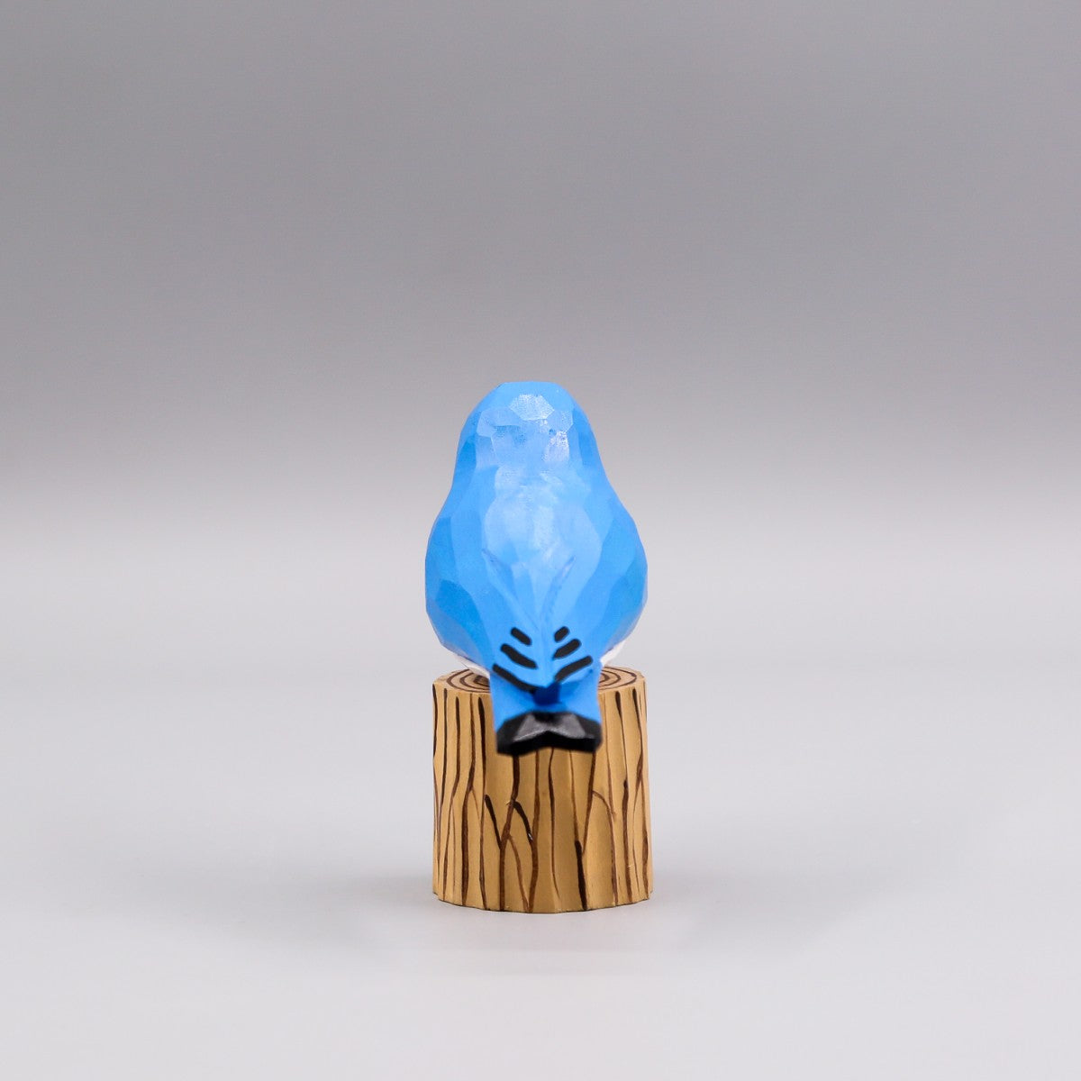 Mountain Bluebird