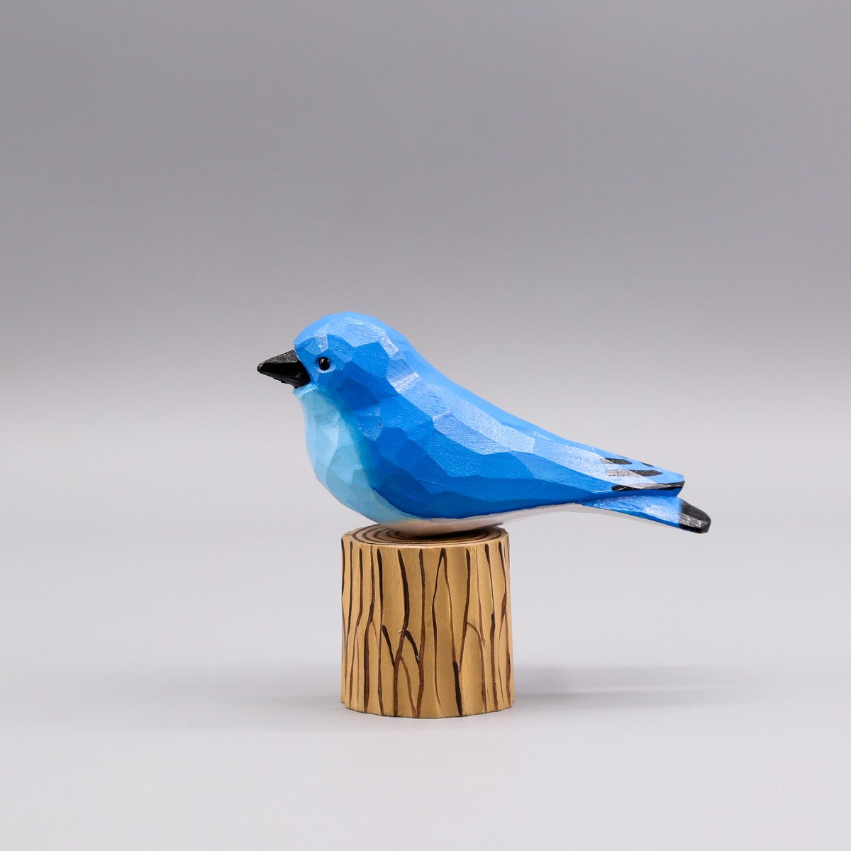 Mountain Bluebird