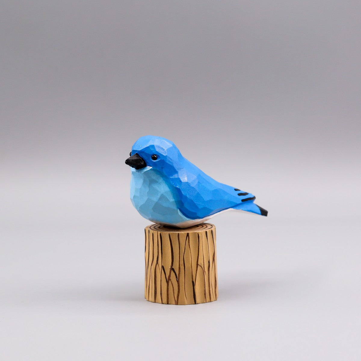 Mountain Bluebird