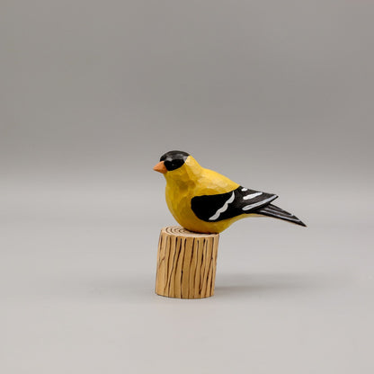 American Goldfinch