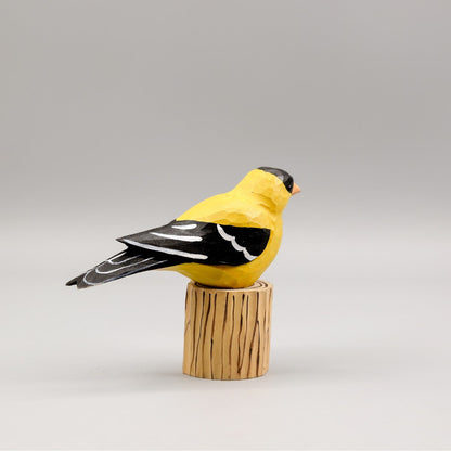 American Goldfinch