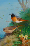 Pair of Redstarts