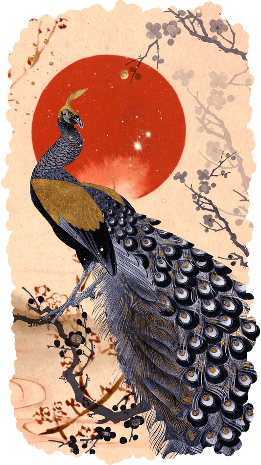 Celestial Peacock