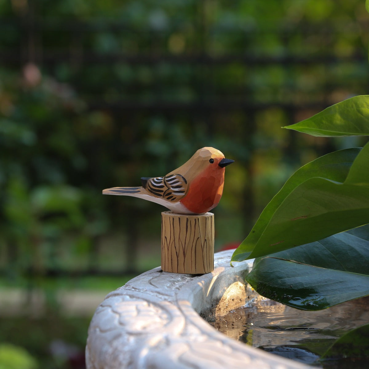 Male and Female Robins Set