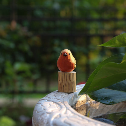 Male and Female Robins Set