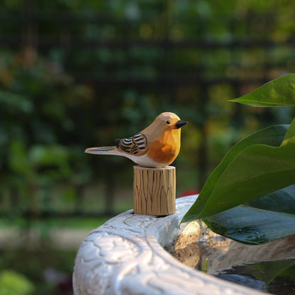 Set van 4 Vogels + 4 Standaards