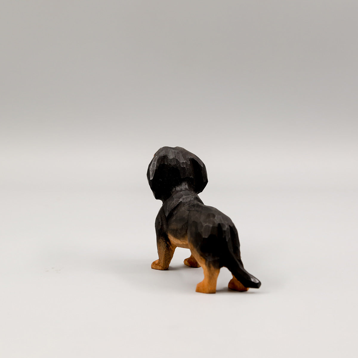 Black Dachshund